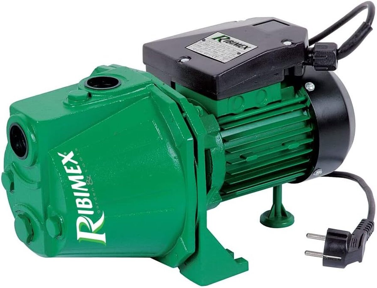 Test : pompe à eau Ribiland 1314 - 970 watts