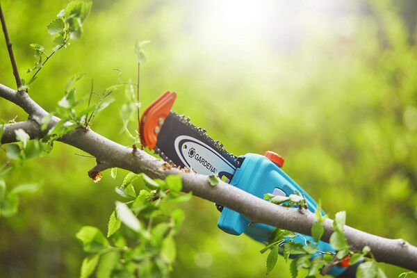 Élagueuse sur perche TCS Li-18/20 de Gardena : tronçonneuse pour jusqu'à 30 min de travail, portée jusqu'à 4 m, longueur de lame de 20 cm, avec batterie rechargeable, chargeur et bandoulière (8866-20)