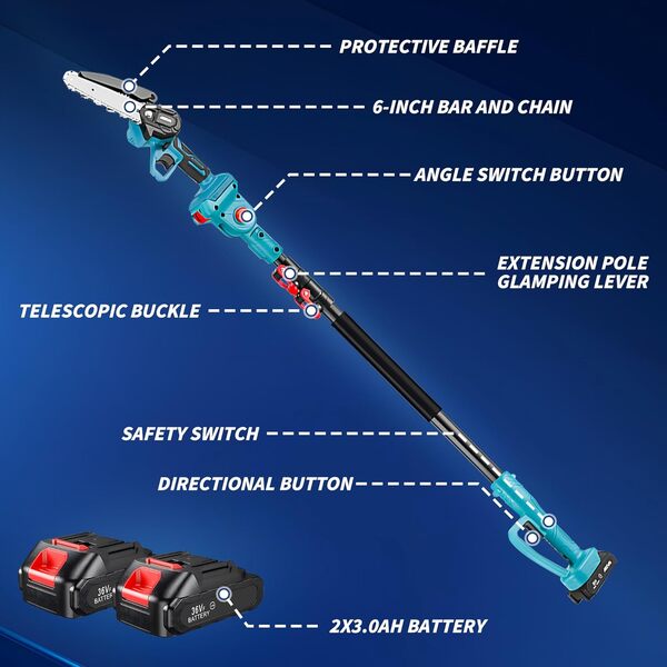Scie à perche sans fil 2 en 1 et mini tronçonneuse