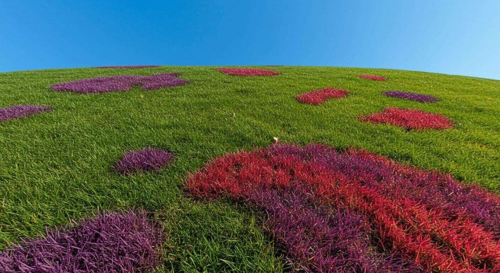 L'herbe de votre pelouse devient rouge/violette par endroit ? Voici ce que ça signifie