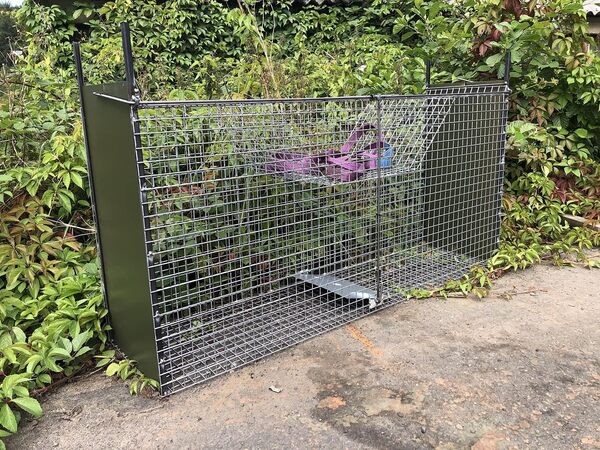 piège Cage Renards blaireaux