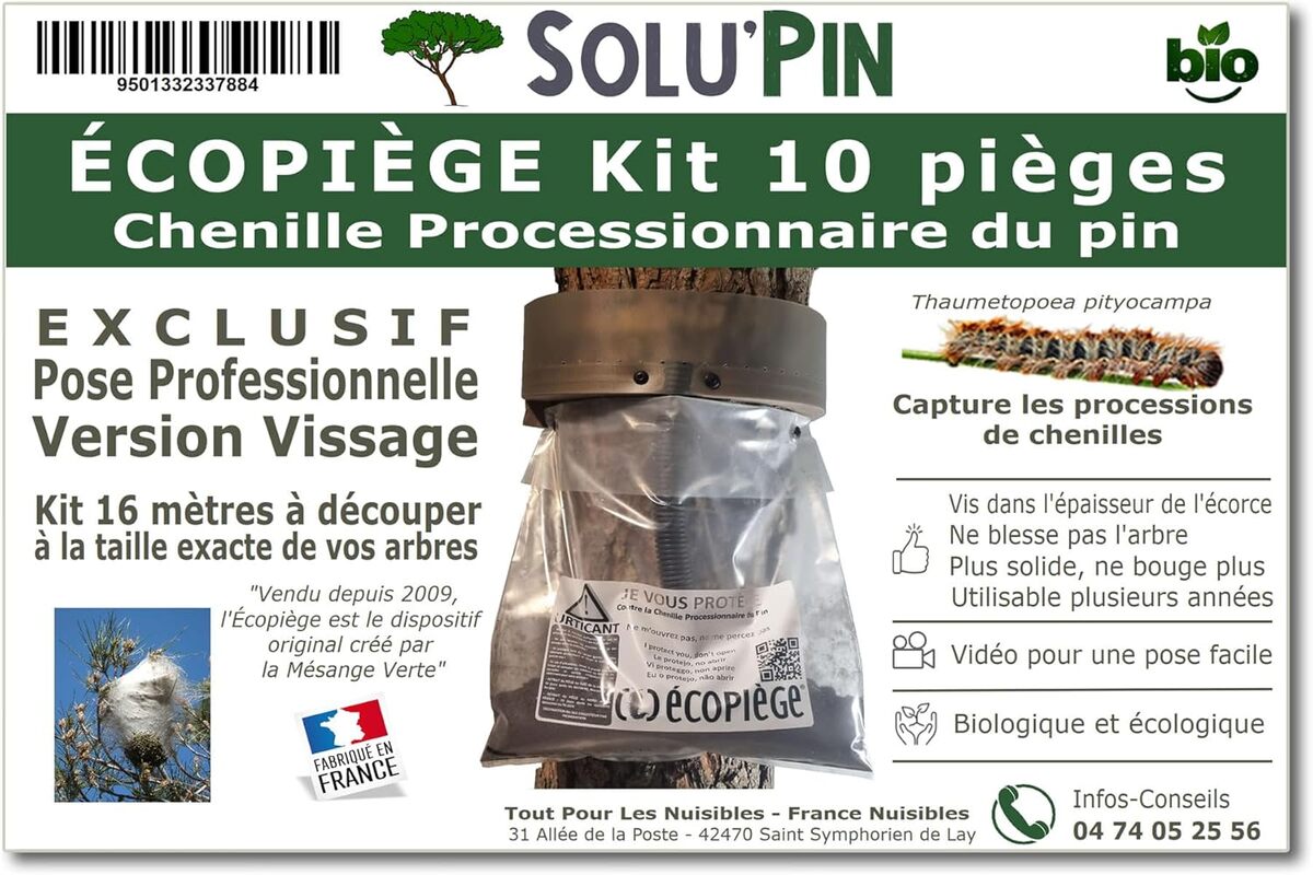 Test du collier Écopiège Solupin : kit anti-chenilles processionnaires