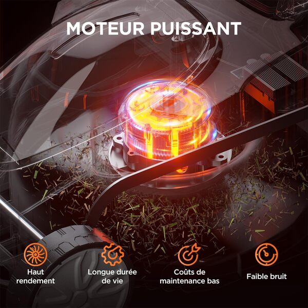 Litheli Tondeuse à Gazon sans Fil 33cm, 1x 20V Batteries 4.0Ah, Hauteur Réglable 25-65mm, Bac 30L, pour Pelouses jusqu'à 200m² (Jardin & Petits Espaces)