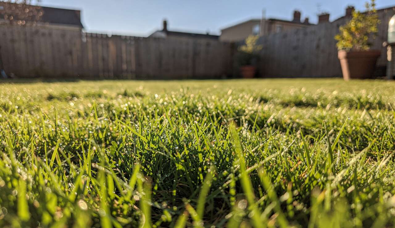 Astuces pour Conserver un Beau Gazon