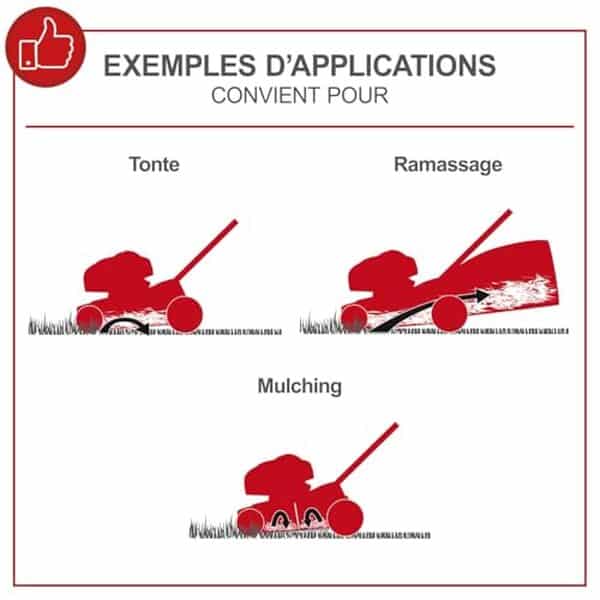 Explorez la puissance de la tondeuse thermique Scheppach MS161-46 dans notre test détaillé. Efficacité, ergonomie et performances sont au rendez-vous pour un jardinage facilité.