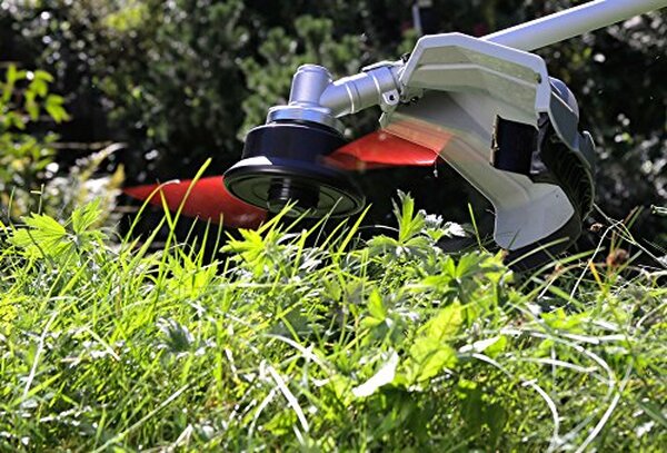 Découvrez les performances impressionnantes de la débroussailleuse thermique IKRA IBF 31-4 dans notre test détaillé : une solution idéale pour un jardinage sans effort.